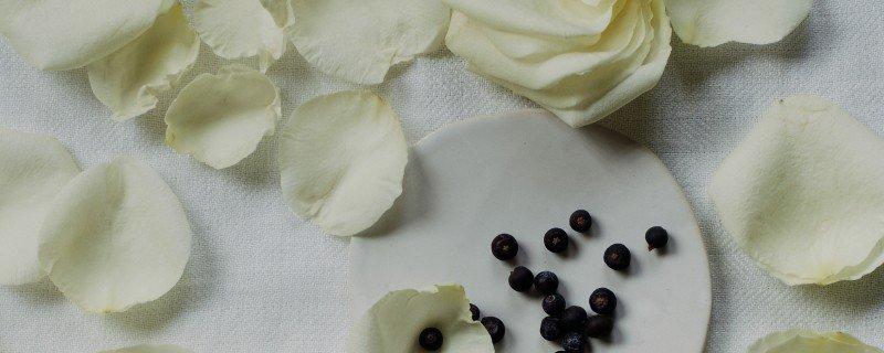 blanc collection