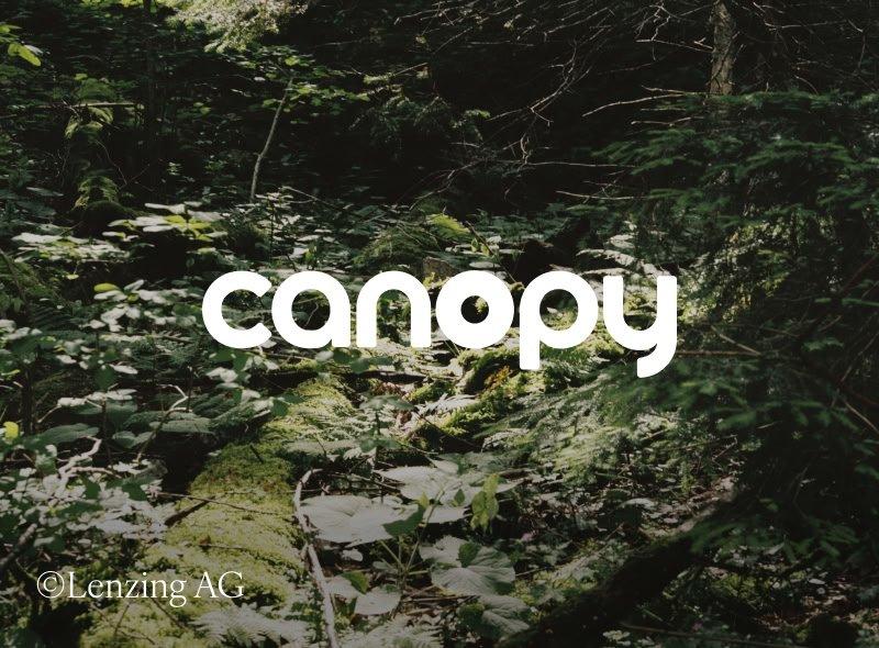 a picture of a picture of a forest with the word cany in it