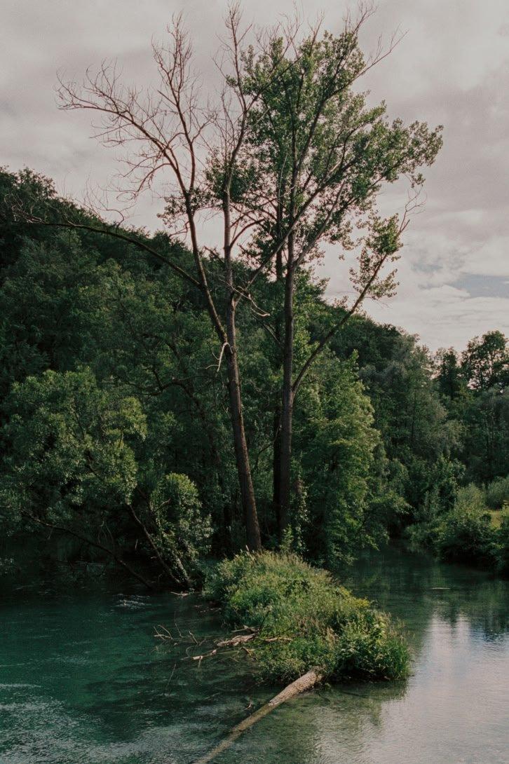 a man is sitting on a bench next to a river