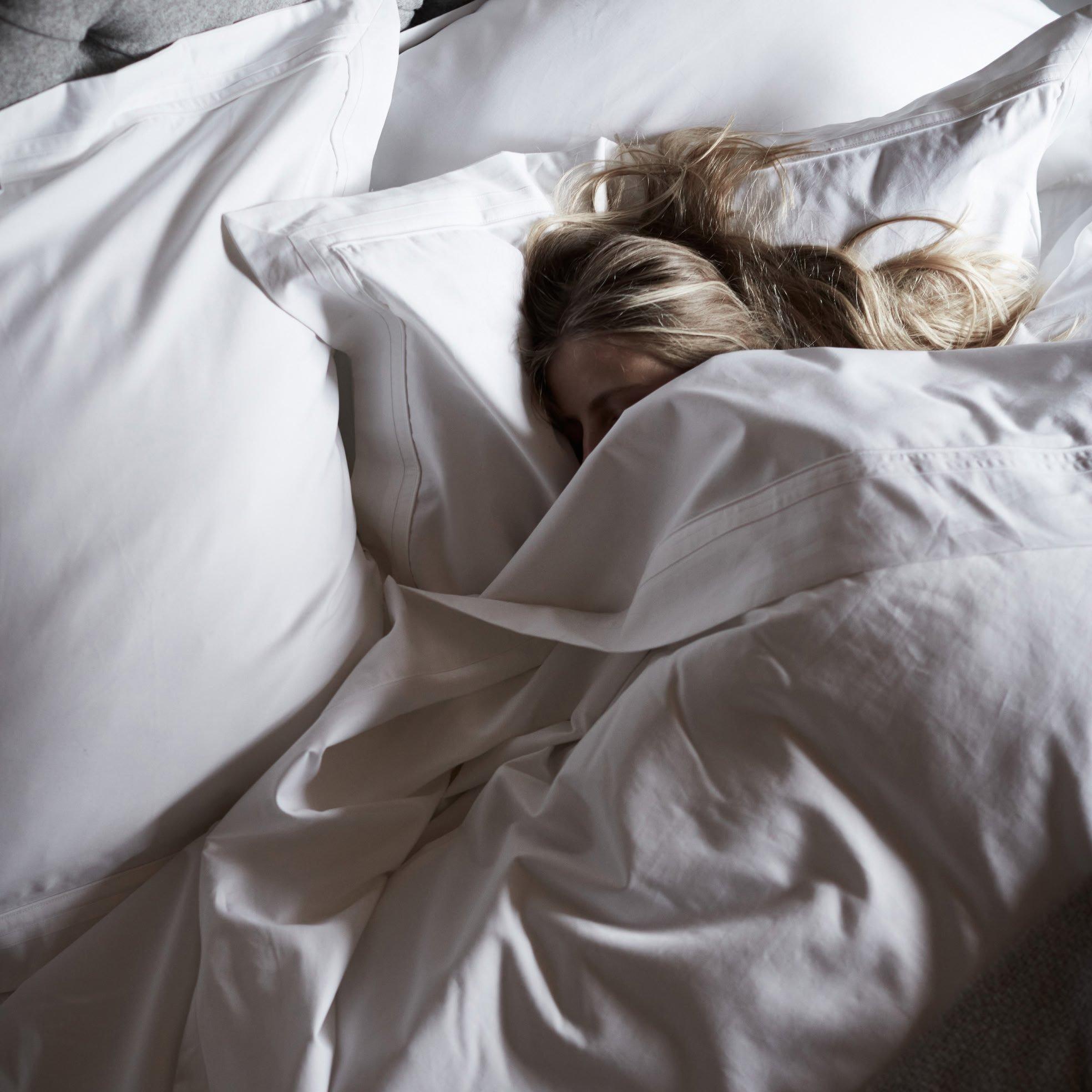 the science of sleep