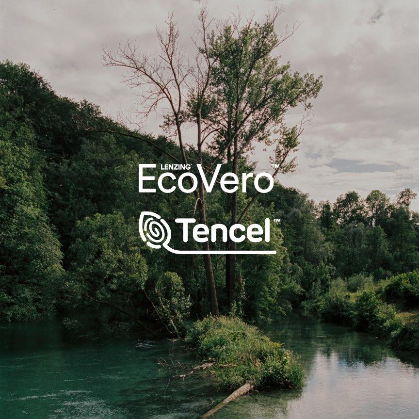 a river with a tree in the middle of it