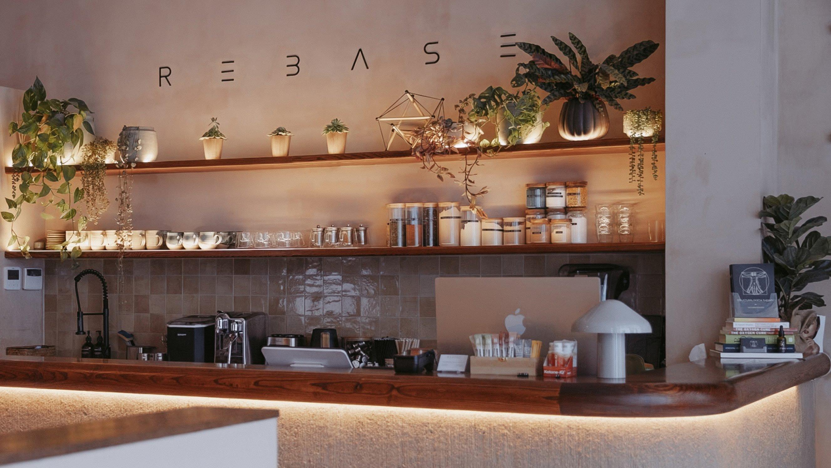 a bar with plants and lights on the counter and shelves