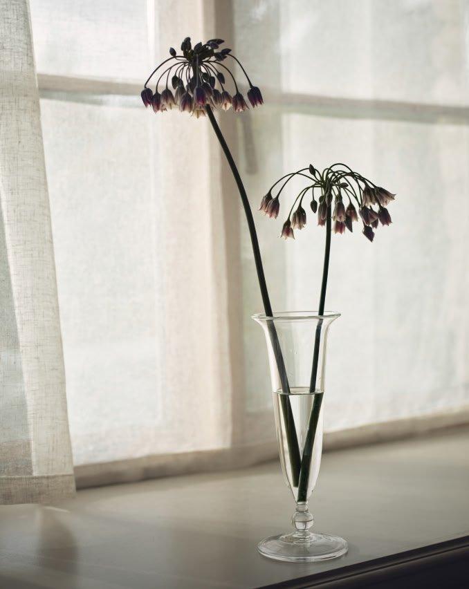 two flowers in a glass vase on a windowsill