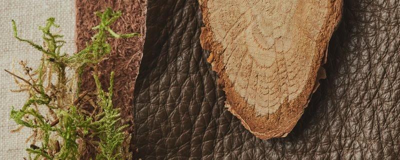 a wooden piece with a piece of wood and a plant