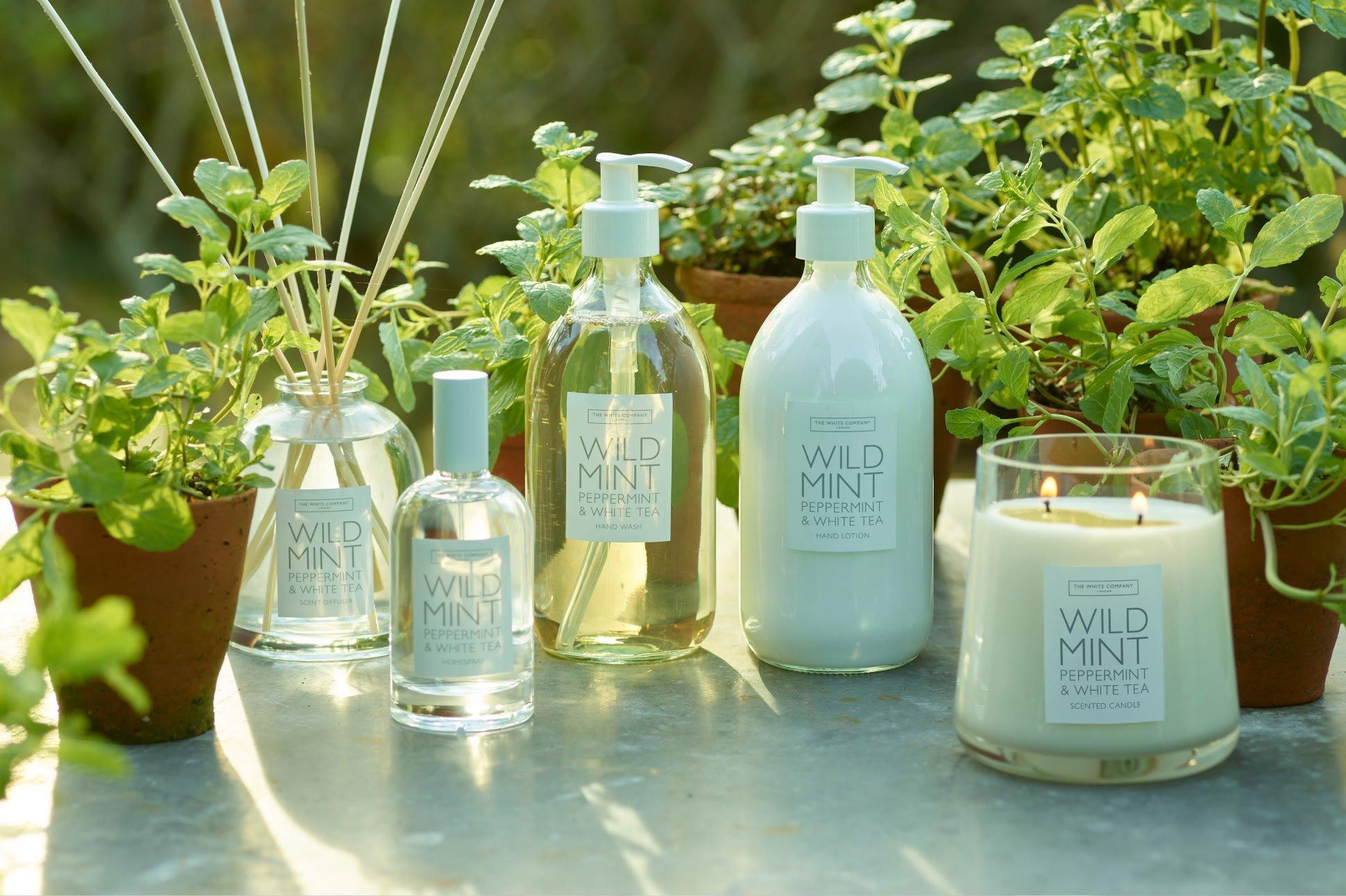 the herbal collection